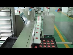 Maszyna do inkrustowania ciastek w plasterkach 100g Maszyna do produkcji ciastek